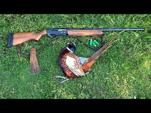 Видео: Лов на Монголски Фазан HD (Част-2)