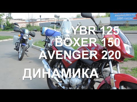 Видео: Как едут?! Yamaha YBR 125, Bajaj Boxer 150 и Avenger 220 Динамика