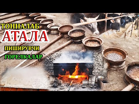 Видео: 1 тонна АТАЛАНИ 🐮 1 соатда пиширадиган Кумир ГОРЕЛКА