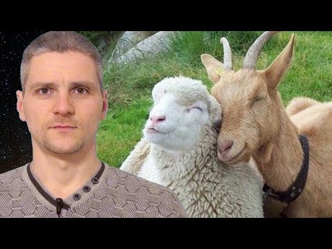 Видео: Любишь именно ее, серьезно?