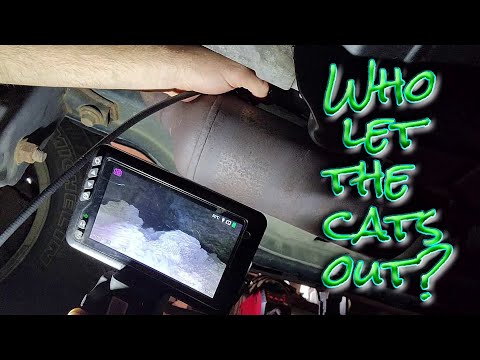 Видео: Использование EWMA и расчётной нагрузки A Mode 6 — просто чудо! #авторемонт #ralcam #автодиагностика