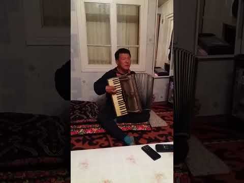 Видео: Парманов Ташболот! Атамдын таланты 👍 #атам #элдикырлар #талант  #акардион #кыргызстан #жалалабад  