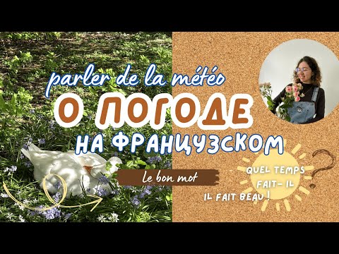 Видео: О погоде на французском. Parler de la météo #французский #французскийонлайн #урокфранцузского