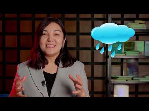 Видео: STEAM тармагында билим берүү