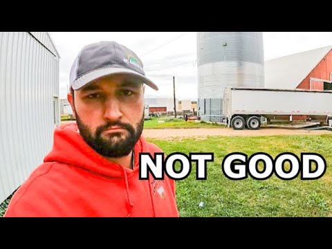 Видео: У НАС БЫЛ ОЧЕНЬ СТРАШНЫЙ ДЕНЬ НА ФЕРМЕ