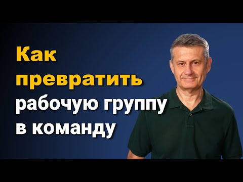 Видео: Как превратить рабочую группу в команду. План действий