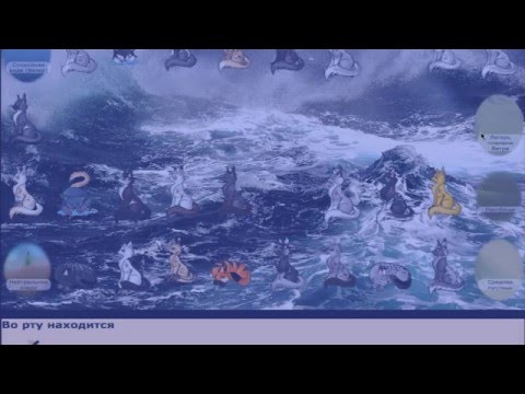 Видео: CРОЧНАЯ ЗАПИСЬ! ПОТОП! CATWAR