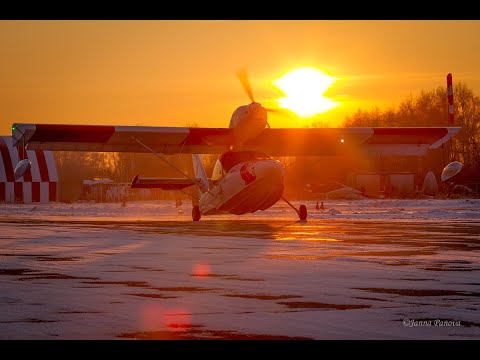 Видео: За что мы любим амфибии!