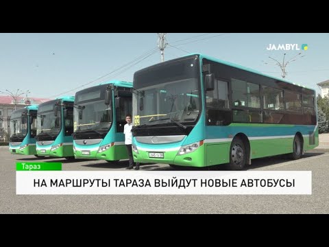 Видео: На маршруты Тараза выйдут новые автобусы