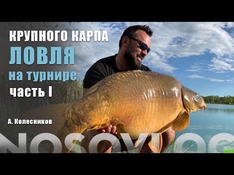 Видео: Ловля крупного карпа, Колесников А. - ЧАСТЬ I