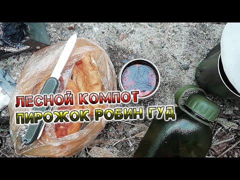Видео: Пирожок Робин Гуд и Лесной компот /Первая вело прогулка (поход) весной 2023