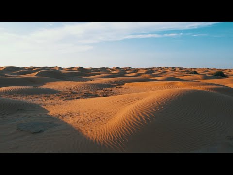 Видео: 5-ші  Дүниежүзілік көшпенділер ойындарына Атырау облысынан көш аттанды