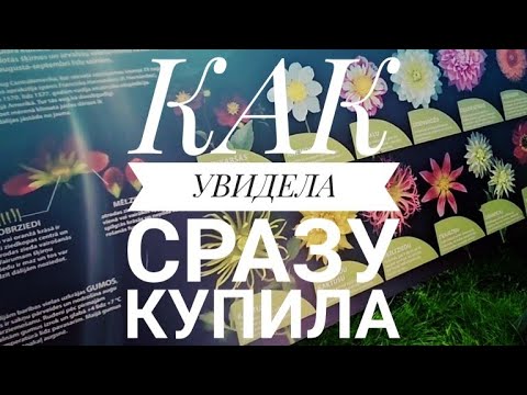 Видео: Что купила в Рижском ботаническом саду!