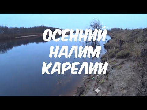 Видео: Ловля налима в Карелии осенью.