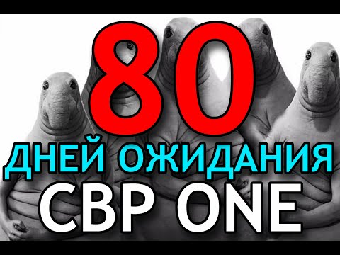 Видео: CBP ONE 80 дней ожидания. Реальные сроки ожидания СБП на декабрь 2023. Кто сколько ждет фактически.