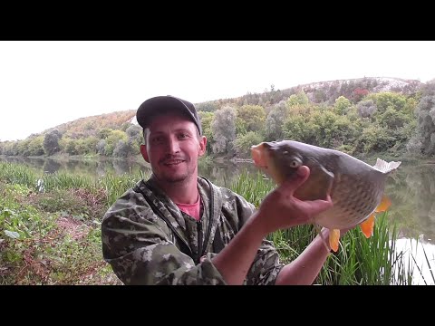 Видео: СОМ, САЗАН. Жмых и медведка рулят. Ловля на донки р.Дон. Сентябрь 2021