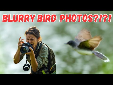 Видео: Почему ваши снимки птиц все еще размыты — 8 ошибок, которые вы совершаете!
