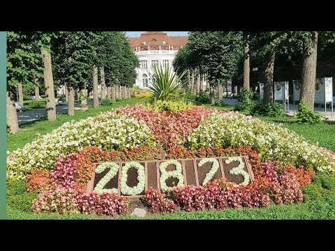 Видео: Отдых в Чехии/Карловы Вары/Вкусная еда Чехии