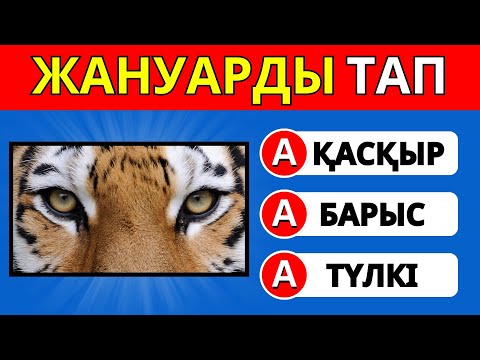 Видео: КӨЗІ АРҚЫЛЫ ЖАНУАРДЫ ТАП🙈| ТАПҚЫРЛАР✅