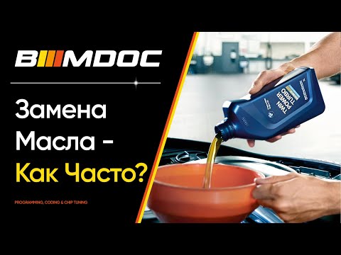 Видео: Ты менял масло неправильно! Смотри, как часто это нужно делать.