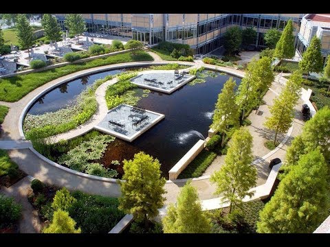 Видео: Ландшафтная архитектура