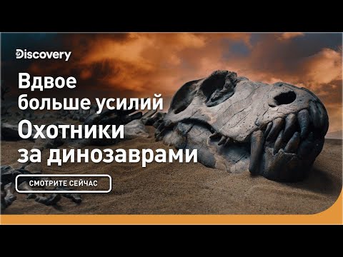 Видео: Вдвое больше усилий | Охотники за динозаврами | Discovery