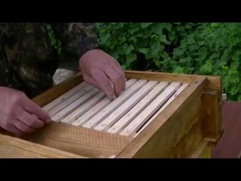 Видео: Вариант  глубокого дна для улья
