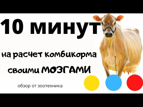 Видео: 10 минут на рецепт комбикорма
