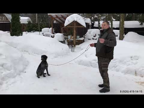 Видео: Начнем сначала