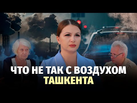 Видео: Жирная пыль, АИ-80 и датчики: как бороться с загрязнением воздуха в Ташкенте?