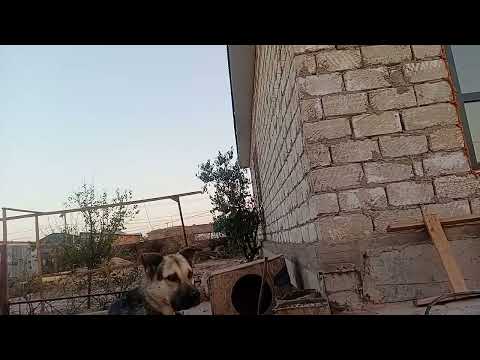 Видео: 27 сентября 2025 г.