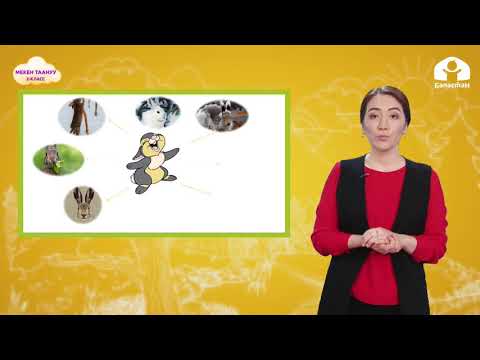 Видео: 2-класс. Мекен таануу: Жаныбарлар жазында / ТЕЛЕСАБАК / 09.04.21