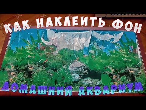 Видео: Как приклеить фон на аквариум / Быстро, надёжно, без пузырей