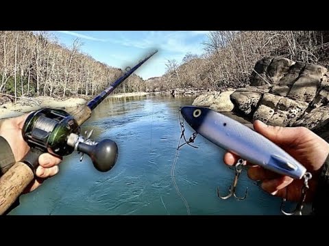 Видео: Рыбалка на маску в Западной Вирджинии — это просто ЭПИЧЕСКОЕ!!! (при участии SG Angling)