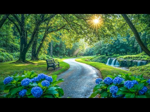 Видео: 🎵 Расслабляющая пианино музыка 🌿 Музыка для сна, релаксации и снятия стресса