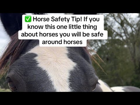 Видео: ✅ Совет по безопасности лошадей! Если вы знаете эту маленькую вещь о лошадях, вы будете в безопас...