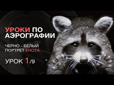 Видео: Курс по аэрографии. Черно - белый портрет енота. Часть 1/9. Уроки аэрографии - Дмитрий Осокин