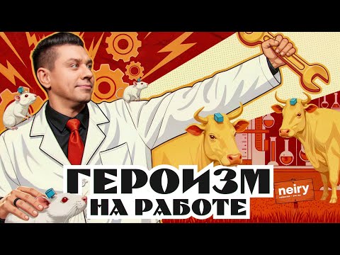 Видео: Профессиональное счастье