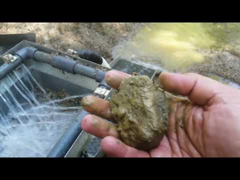 Видео: ИВО ЗЛАТИНКАТА