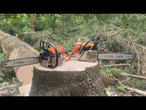 Видео: На что способна бензопила Stihl MS 250 C