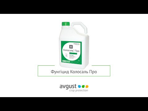 Видео: Колосаль Про — КОЛОСАЛЬна ПРОтидія хворобам!