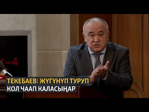 Видео: Текебаев: жүгүнүп туруп кол чаап каласыңар