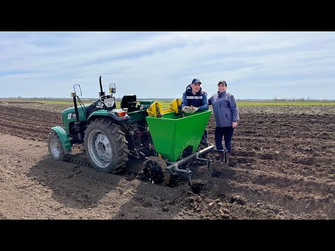 Видео: Масова посадка картоплі, сорти Берніна та Санібель!