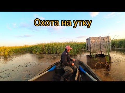 Видео: Охота на утку 6 октября 2025г. Иж 58. Ставропольский край. Разлив р. Калаус
