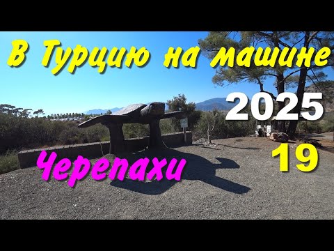 Видео: В Турцию на машине. 2025, ч-19. Черепахи