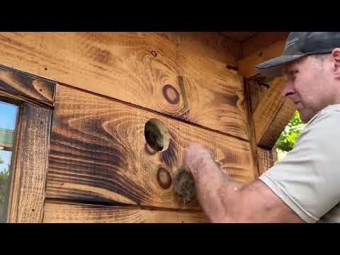 Видео: Как установить вентиляционные отверстия в сауне + установка крышки вентиляционного отверстия (Сбо...