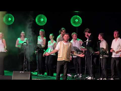 Видео: ХОР ГОМІН.  ЗЕЛЕНИЙ ГАЙ