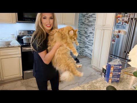 Видео: Когда драма заканчивается победой: Барс ожил и вернул себе трон!