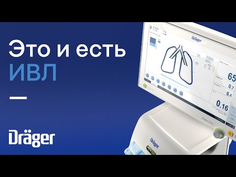 Видео: Это и есть ИВЛ: новые Evita и Babylog