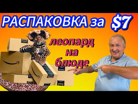 Видео: Леопард в тазике и ковёр для собаки — $7 за сокровища!